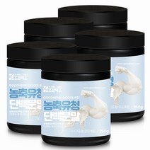 프로틴 농축 유청단백 분말 가루 250g x 5, 단품