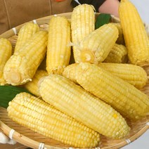[100%품질보증제] 대용량 특대 백찰 홍찰 찰옥수수 냉동 삶은 찐 옥수수 빅사이즈 (16-21cm내외), a. 30개/백찰옥수수(특대 16-21cm)