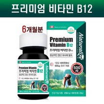 프리미엄 비타민B12 영양제 고함량 비타민12 메틸코발라민 수용성 비타민비 Vitamin B12 시아노코발라민 엽산대사 채식주의자 효능 캐나다 직수입, 2통, 90days