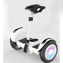 호버보드 전동휠 투휠 전동보드 이륜 LED 화이트, 상세 페이지 참고, Yxd-54V 스페셜 블랙