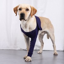 강아지 슬개골 보호대 개 무릎 교정기 부상 다리 교정기 외과 랩 개 상처 치료 개 앞다리 관절염 예방 개 의료 용품, 푸른, xxl