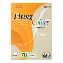 플라잉칼라 Pk02 얼스팩 A4 70g 복사용지 25매입 10개, 없음