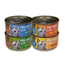 프로베스트 캣푸드 고양이 간식캔, 참치 + 치킨 혼합맛, 60개