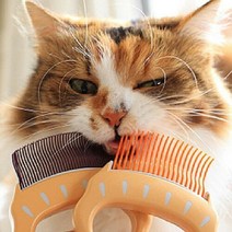 아트박스/갓샵 고양이 강아지 사랑조개빗 3종 그루밍 털제거 브러쉬 단모 장모, ORANGE (장모용빗), ORANGE(장모용빗)