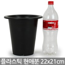 플라스틱 현애분 6~9호 - 화이트 베란다화분 화분 꽃화분 대형화분 플라스틱화분 검정화분 블랙 화이트 흰색 파란화분, 01_한성_현애분 블랙(6호)