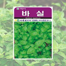 바질씨 50립 바실 허브씨 두리 씨앗 아람종묘