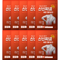 신신제약 신신 파프 핫 파스, 10개입, 5개