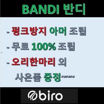 재고전화문의 필수 / 2022BIRO 바이로전기자전거 Bandi A 스완타입 DUAL모드 20인치_17Ah, 블랙