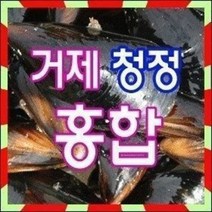 거제청정 손질홍합 10kg 당일채취 당일발송