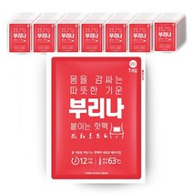 부리나 붙이는핫팩 파스형 패치형 35매+35매, 03. [22년생산]부리나 붙이는핫팩 1