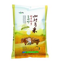 청정지역 보성쌀 차곡차곡 새청무 쌀10kg 보성군농협 22년 햅쌀, 단품