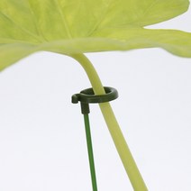 식물지지대 화초 지주대, 28cm