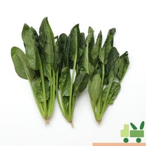 사라상회 시금치 2Kg, 1개
