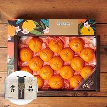 제주 레드향 선물세트, 4.5kg 15-19과