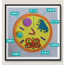 학생 과학수업 표본 진핵 세포 구조 모델 모형 학습 교구, 기본 동물 세포 재료 팩
