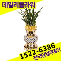 황룡금 동양란 동양난 승진 영전 이취임 개업 축하 고급 난배달 당일 배송