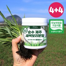 순수 제주 새싹보리 분말 에어분쇄 저온건조 보리어린잎 자연밭담, 170g, 8개