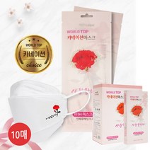 월드탑 카네이션 마스크 가정의달 어버이날 스승의날 감사 선물, 월드탑 카네이션 마스크 10매