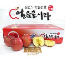 (인빌푸드)밀양얼음골사과(부사) 5kg(15과), 단품