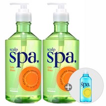 케라시스 두피스파 캄그린 샴푸 750ml 2개 + 증정아쿠아블루 샴푸 180ml