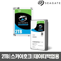 씨게이트 스카이호크 하드디스크 데이터백업용 HDD, 2TB, ST2000VX008