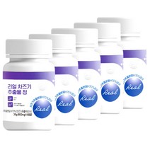 차즈기 추출물 국내산 100% 차조기 루테올린 자엽소 눈 피로 건강 영양제 캡슐 정 60정 5개