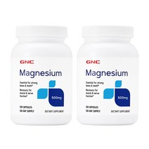 지앤씨 마그네슘 500mg 120캡슐 2세트, 2개, 120정
