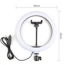 링조명 방송조명 전문가용 LED 셀피 링 라이트 카메라 폰 USB 램프 라이트와 긴 팔 홀더 스탠드 유튜브 VK, [01] 10inch Light