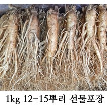 햇 수삼 인삼 1kg 대사이즈 5년근 12-15뿌리 뿌리 (믹서용 홍삼용 실속인삼), 750g 8-10뿌리, 선물포장(o)