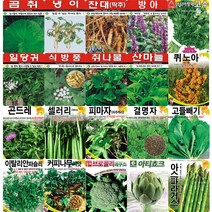 각종 민속 채소 특수 씨앗 모음 도라지 더덕 냉이 산마늘 고수 곰취 나물 약초 씨 종자 모음, 우엉, 1개