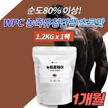 코스트코 가성비 단백질 보충제 파우더 벌크업 헬린이 프로틴 헬스 보조제 초코맛 포대 농축 유청 단백질 미국 WPC 아미노산 비타민 미네랄 스테비아, 1개
