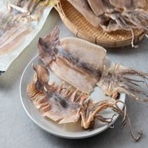 국내산 동해 말린 건조 오징어 5미, 단품