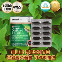 징코오메가3 혈중 중성지질개선 눈건강 건조한눈 밀납 캐나다 D-알파 토코페롤 은행잎추출물 영양제 정제수 눈건조할때 EPA DHA 은행나무추출물 정제어유 멸치 정어리 오메가-3