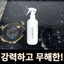 알뜰살림 인덕션 클리너 오븐 텀블러 세척 크리너 무균무때 세정제, 300ml, 2개