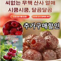 100g~2KG 씨없는 무핵 산사 열매 간식 새콤달콤한 햇 산사 나무 열매 즉석식품, 100g