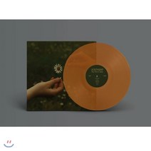 [LP] Goldmund (골드문트) - The Time It Takes [투명 마리골드 오렌지 컬러 LP], Secretly Distribution, 음반/DVD