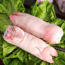 한송푸드 업소용돼지족발( 앞족)10kg 미니족발 장족 돼지족 돼지장족 불족발 양념족발 족발도매, 10kg, 1개