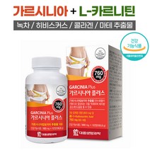 L 카르니틴 함유 식약처인증 다이어트 보조제 가르시니아 112정 HCA 체지방 감소 탄수화물 컷팅제 급찐살 복부지방 피하지방 뱃살 감소 알약케이스 포함, 112정 x 1병 (8주)