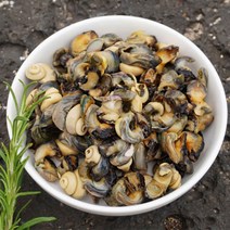 제주 보말 자연산 보말살 300g, 제주 보말살(300g) 1개