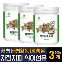 100% 인도산 차전자피 분말가루 자전자비 식이섬유 많은음식 쾌변 숙변제거 방법 보조제 효능추천, 300g 3개