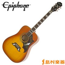 Epiphone DOVE Studio(DOVE Pro) Violinburst 더브 엘레아 코기타 톱 단판 [에피폰 DOVE Studio]