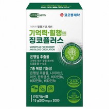 코오롱 기억력 혈행엔 징코플러스 30정 식약처인증 은행잎 아연 판토텐산 비타민 기억력 7중복합기능성
