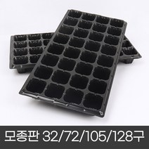 식물 모종판 씨앗 미니 화분 키우기 육묘 트레이 실내 반려 식물 베란다