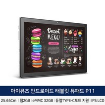 아이뮤즈 P11 듀얼C포트타입 상시전원 태블릿 10인치태블릿 카페메뉴판, 32GB