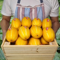 성주 참외 당도선별 프리미엄 황토밭 특품 참외 꿀당도 보장, 로얄과 4kg (12~16과), 1개