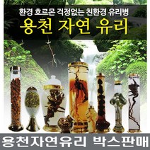 용천자연유리 수동 9호~157호 담금주병 용천병, 52.수동65호 1박스(12개)