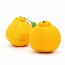 바른식탁 하이엔드 선물용 한라봉 2.5kg 소과(17-20과 내외), 1