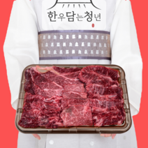 한우담는청년 ++1등급 마장동 명품 투뿔 한우 선물 세트 소고기 구이용, 1++ 실속세트A