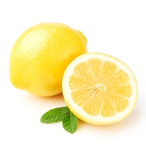 레몬을가득담다 구매률 높은 추천 BEST 리스트