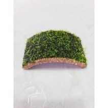 새우오작교/동굴/프리미엄 모스활착 [체리새우/crs새우/생이새우키우기] 애완관상용새우놀이터, 10x5고인골세트+프리미엄모스 활착